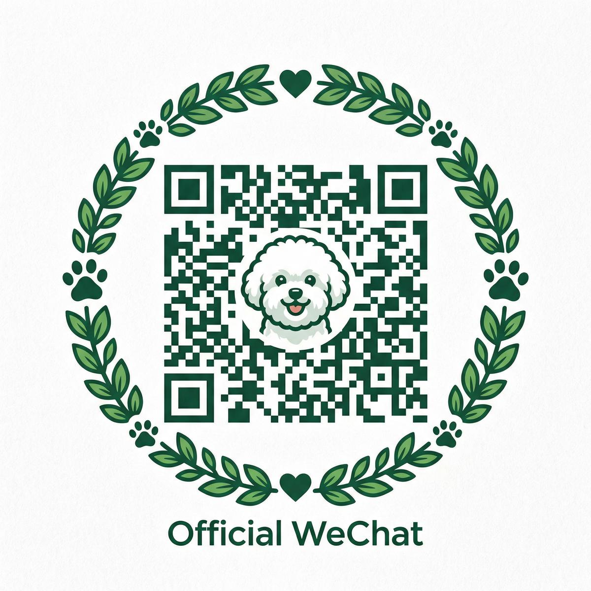 小马拉大车公众号